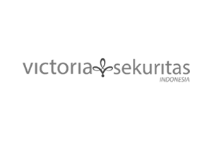 logo-vsi.png